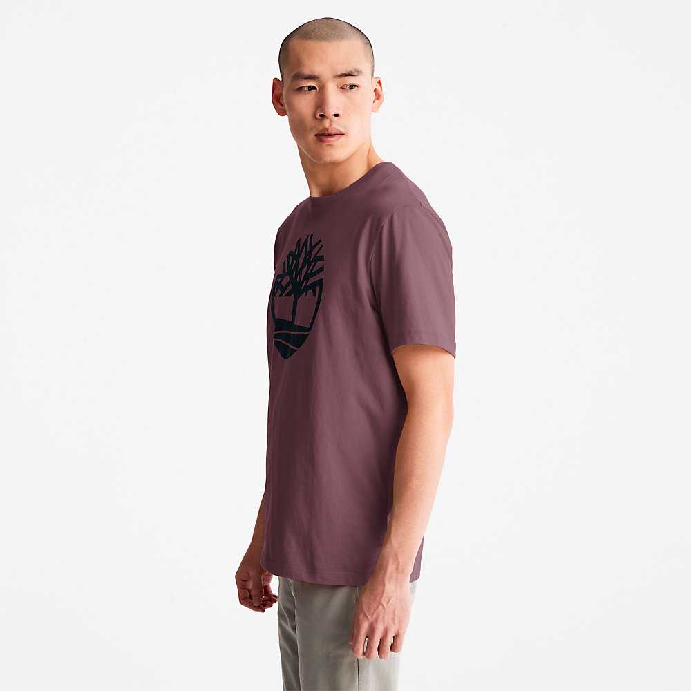 Purple Men's Timberland Kennebec River T Shirts | Israel-7980312