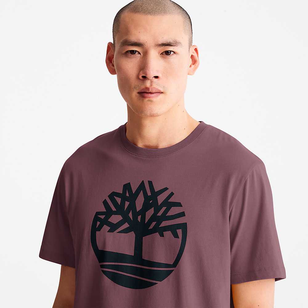 Purple Men's Timberland Kennebec River T Shirts | Israel-7980312