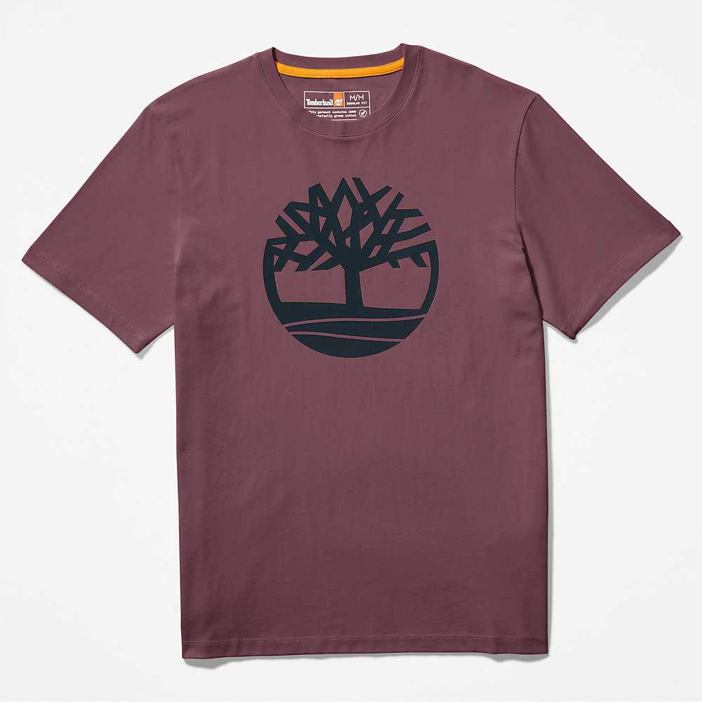 Purple Men's Timberland Kennebec River T Shirts | Israel-7980312