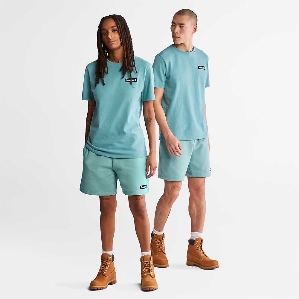 Turquoise Men's Timberland All Gender Heavyweight Badge T Shirts | Israel-6153490