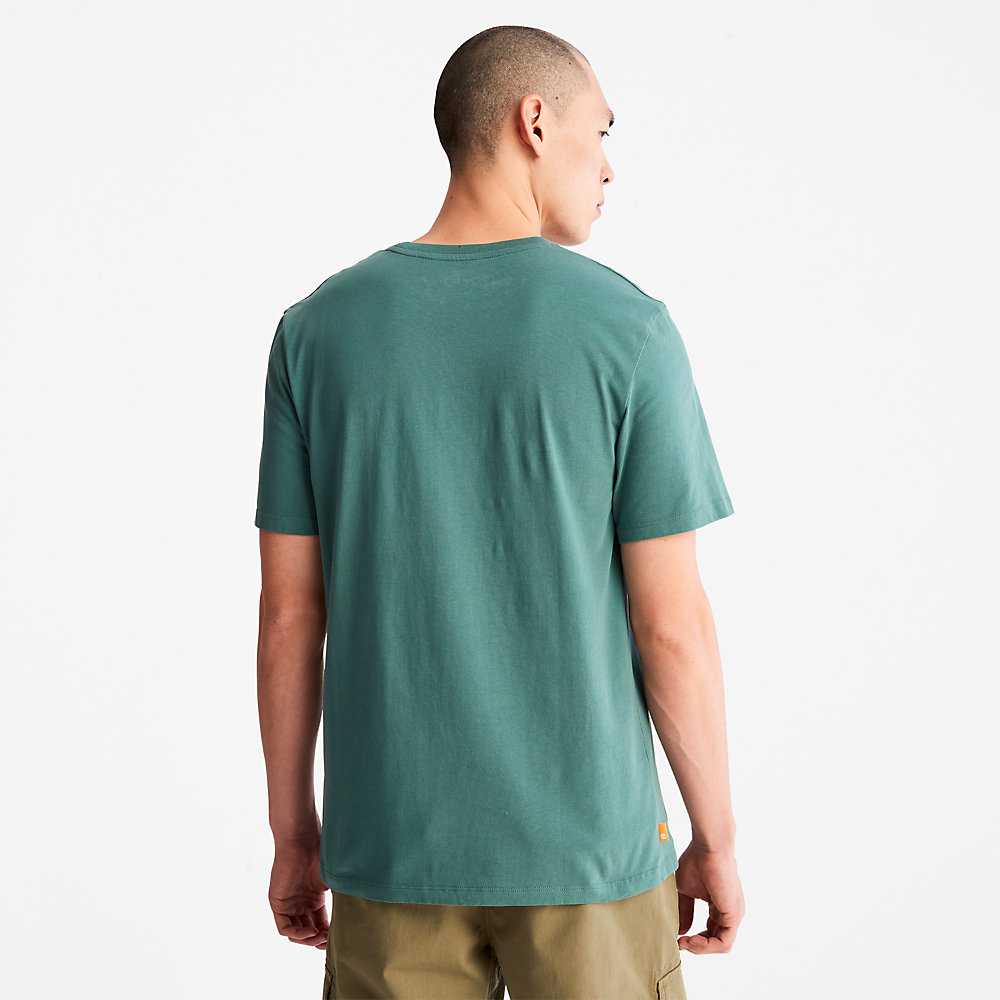 Turquoise Men's Timberland Camo-Logo T Shirts | Israel-2361504