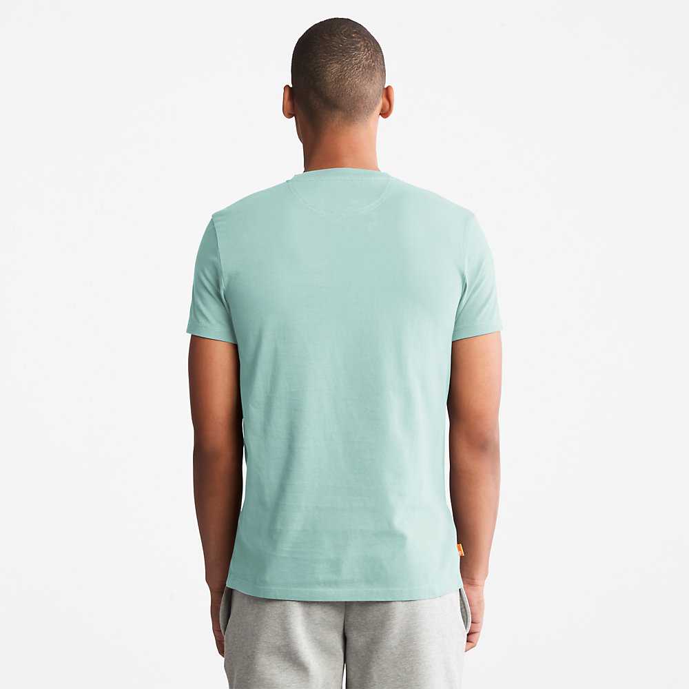 Turquoise Men's Timberland Dunstan River T Shirts | Israel-8342510