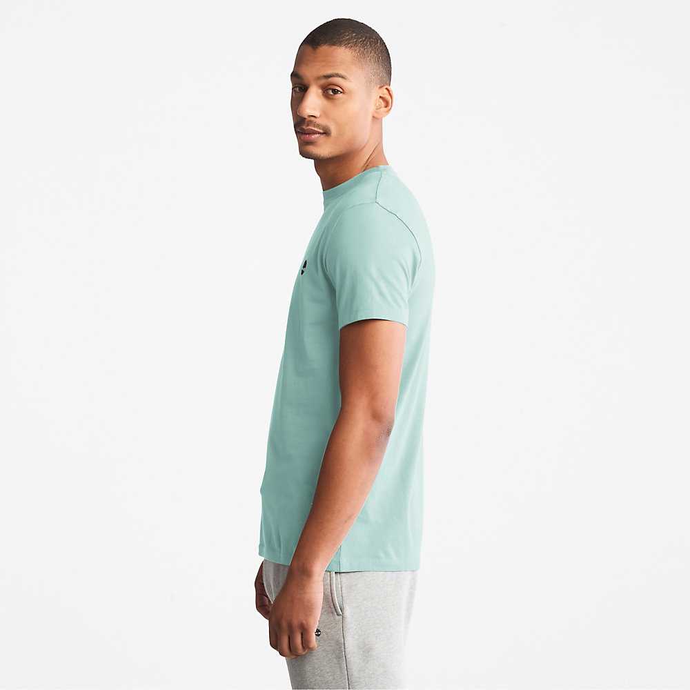 Turquoise Men's Timberland Dunstan River T Shirts | Israel-8342510