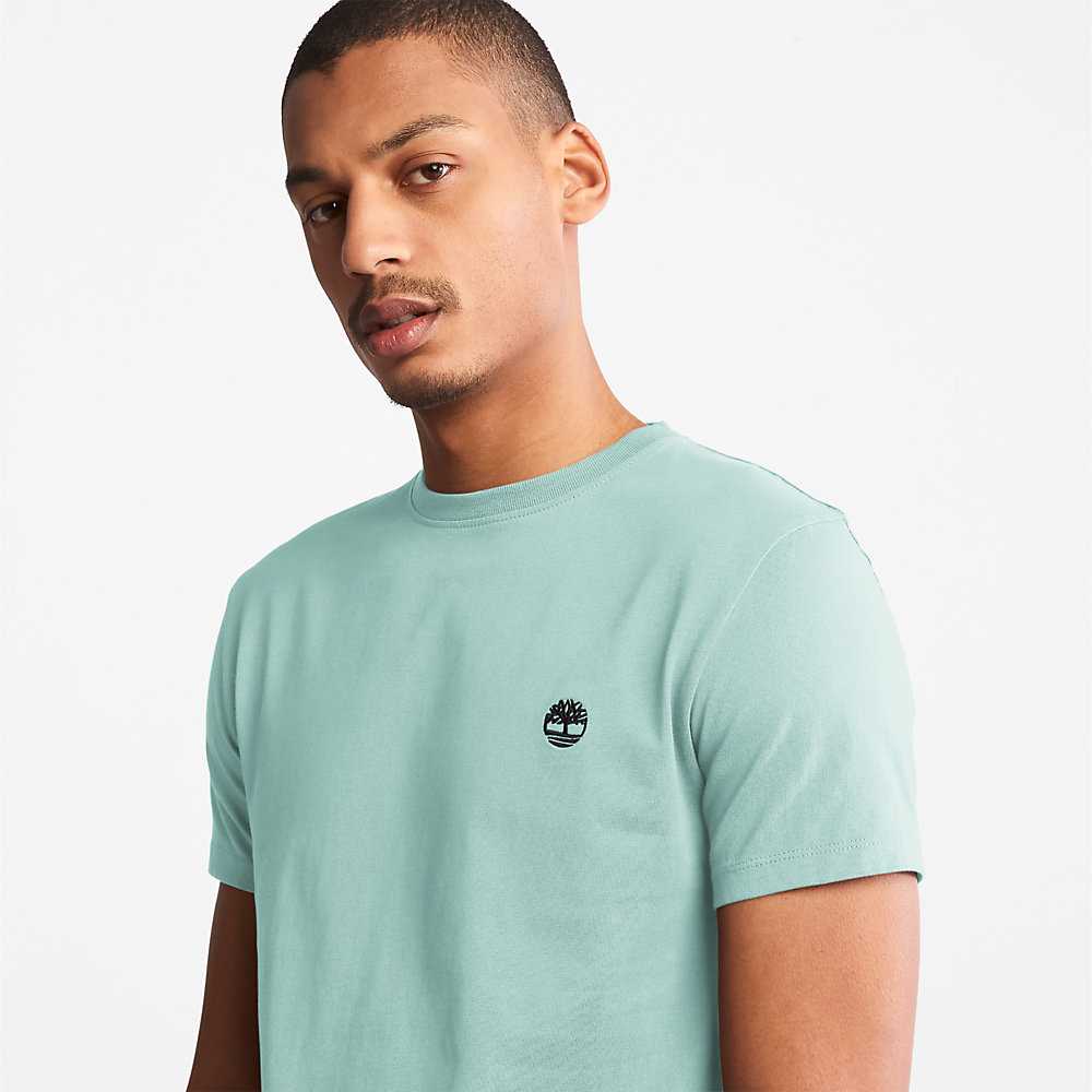 Turquoise Men's Timberland Dunstan River T Shirts | Israel-8342510