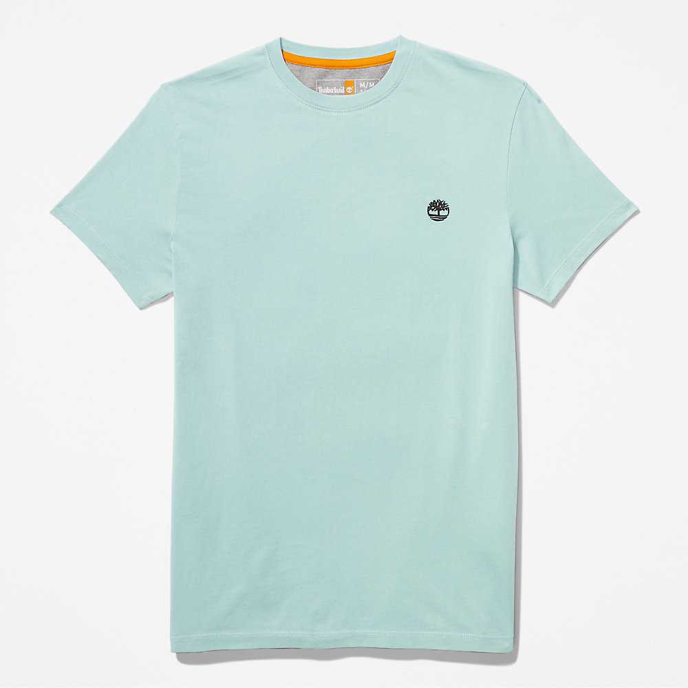 Turquoise Men's Timberland Dunstan River T Shirts | Israel-8342510