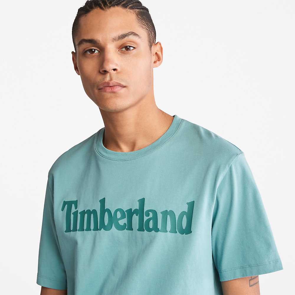 Turquoise Men's Timberland Kennebec River T Shirts | Israel-0965348