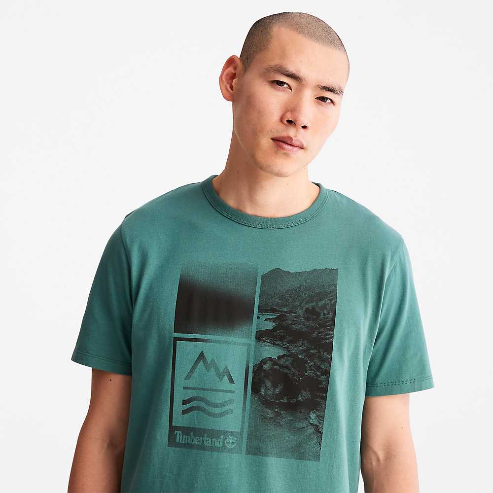 Turquoise Men's Timberland Mountains-to-Rivers T Shirts | Israel-8673905