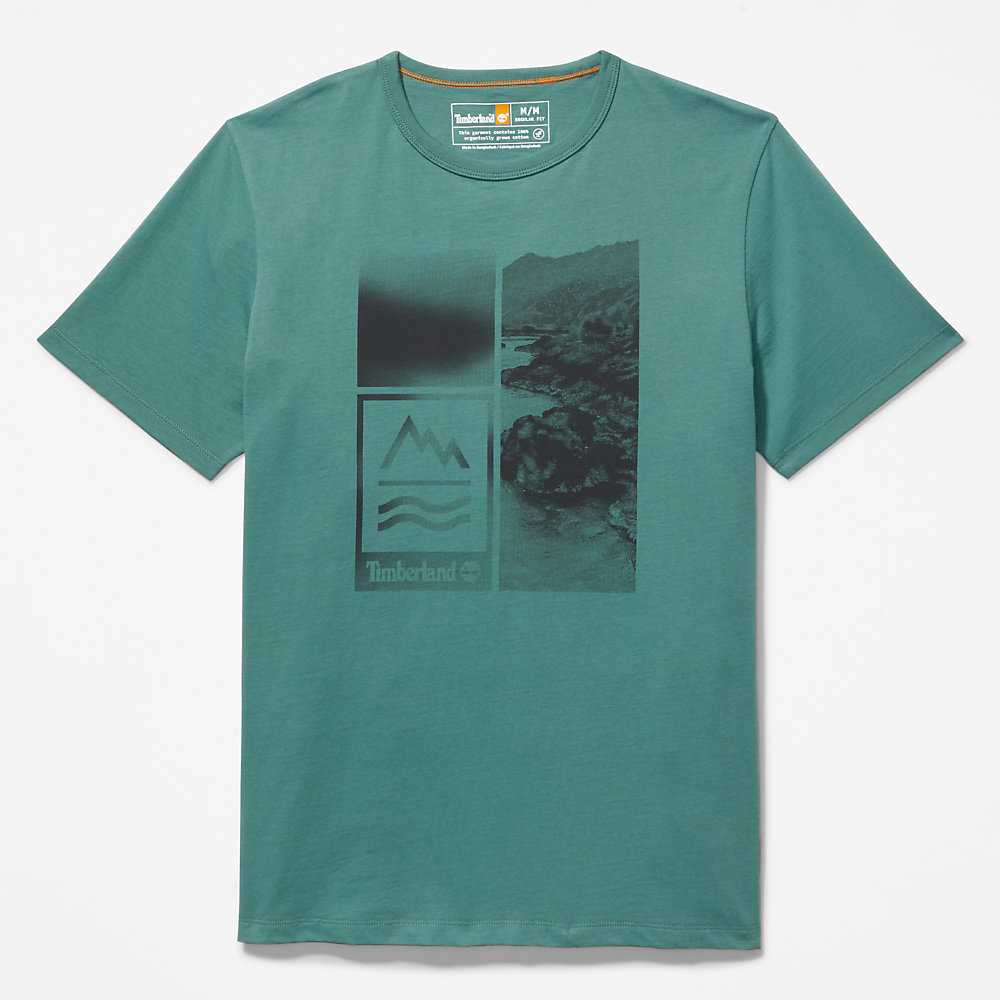 Turquoise Men's Timberland Mountains-to-Rivers T Shirts | Israel-8673905