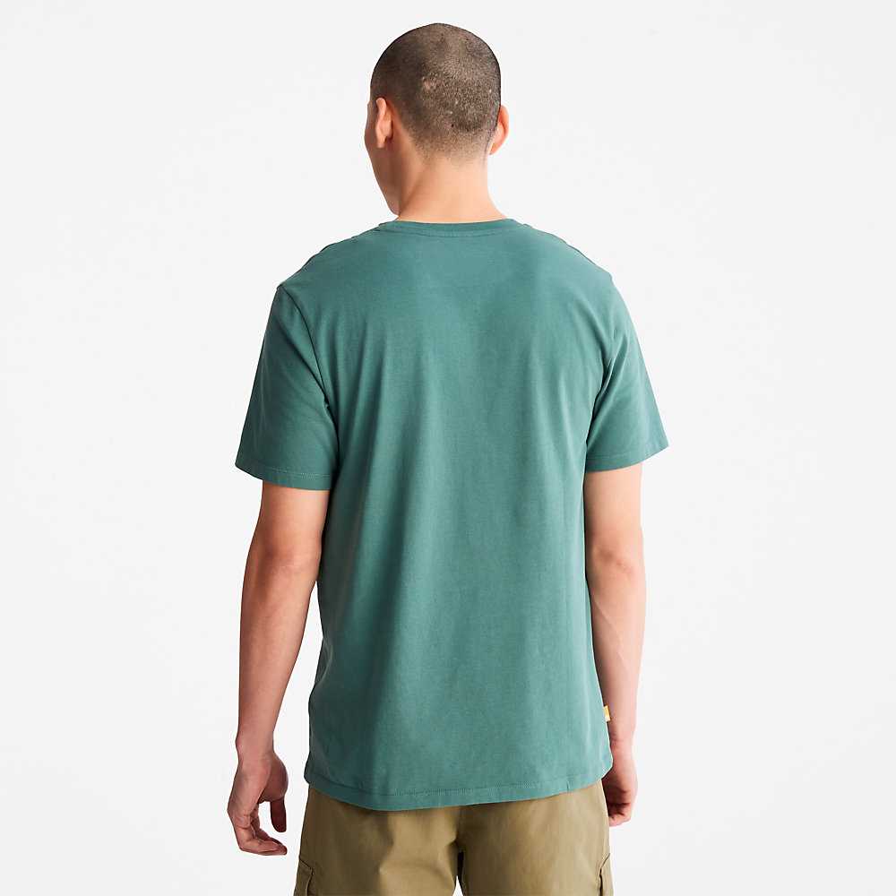 Turquoise Men's Timberland Outdoor Heritage T Shirts | Israel-5421078