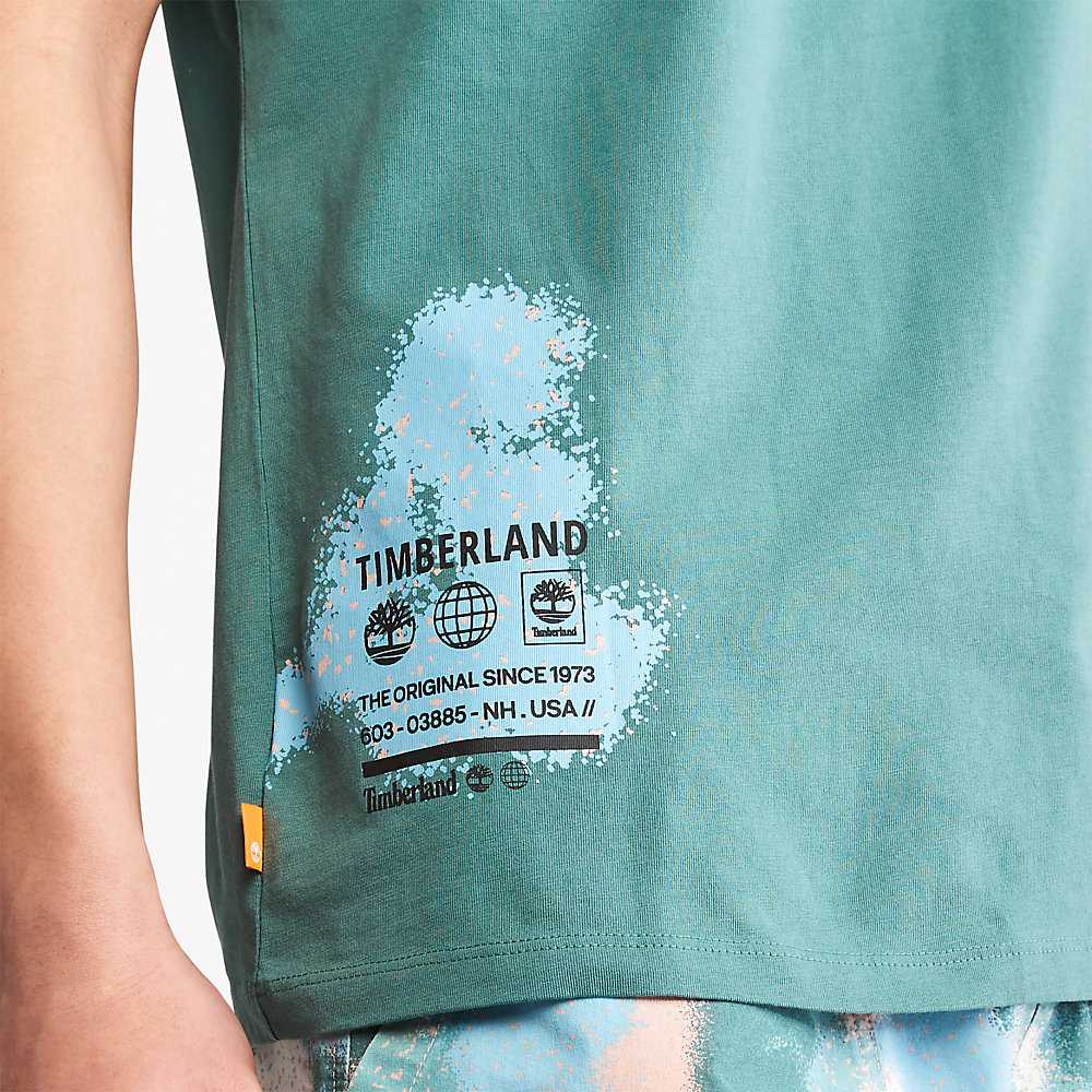 Turquoise Men's Timberland Paint Graphic T Shirts | Israel-0325194