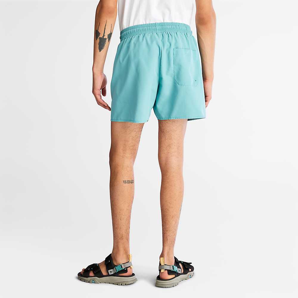 Turquoise Men's Timberland Sunapee Lake Shorts | Israel-8461502