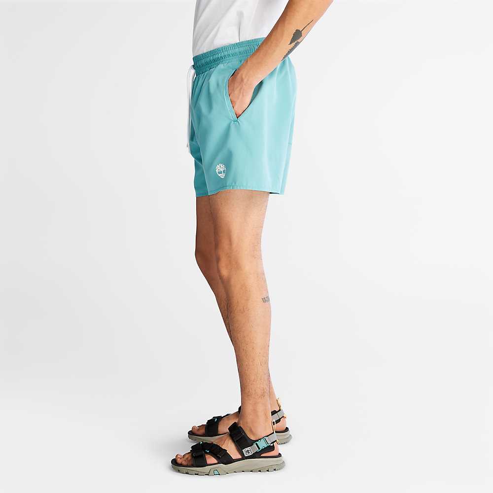 Turquoise Men's Timberland Sunapee Lake Shorts | Israel-8461502