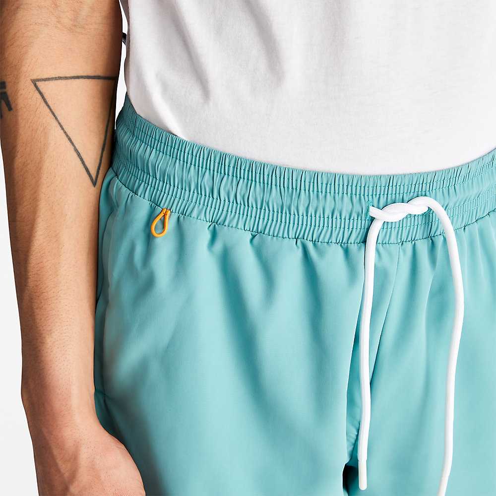 Turquoise Men's Timberland Sunapee Lake Shorts | Israel-8461502