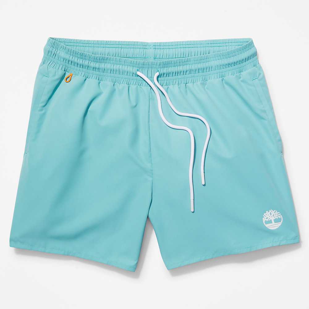 Turquoise Men's Timberland Sunapee Lake Shorts | Israel-8461502