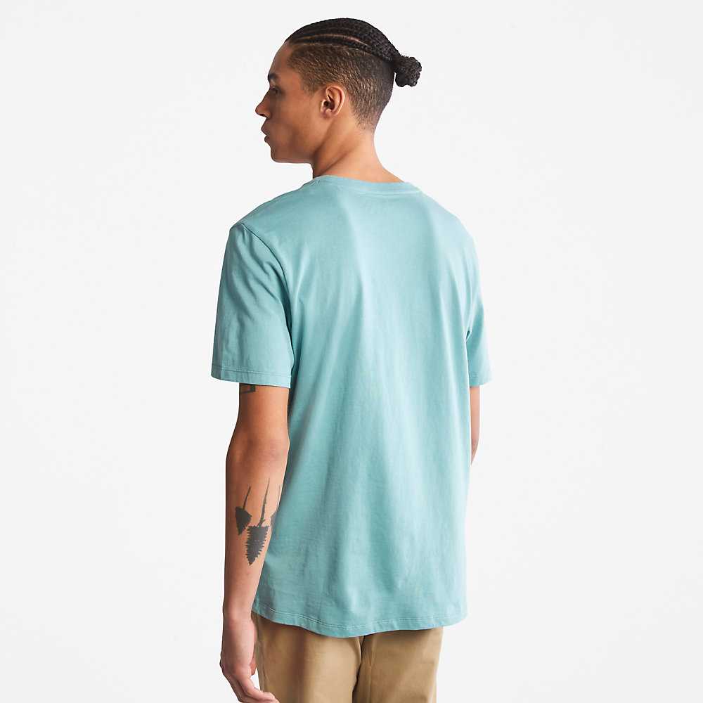 Turquoise Men's Timberland Wind Water Earth And Sky T Shirts | Israel-8506321