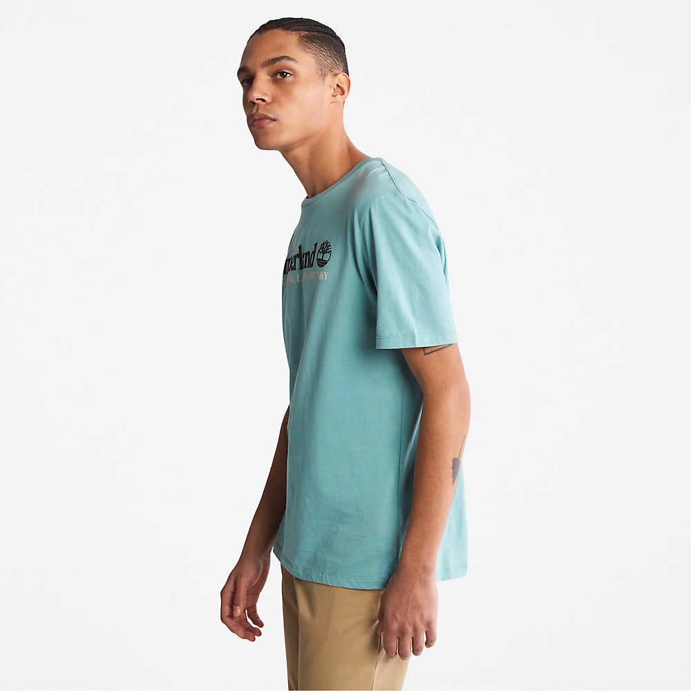 Turquoise Men's Timberland Wind Water Earth And Sky T Shirts | Israel-8506321