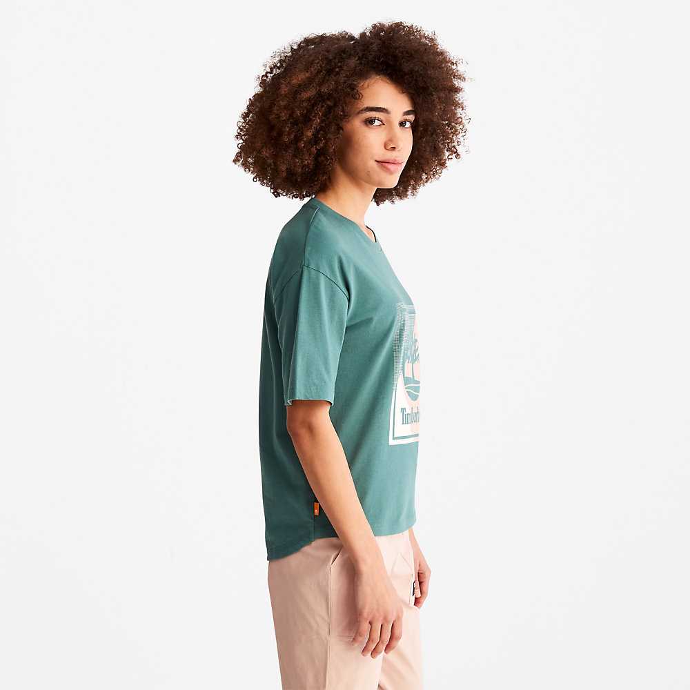 Turquoise Women's Timberland Logo T Shirts | Israel-4896705