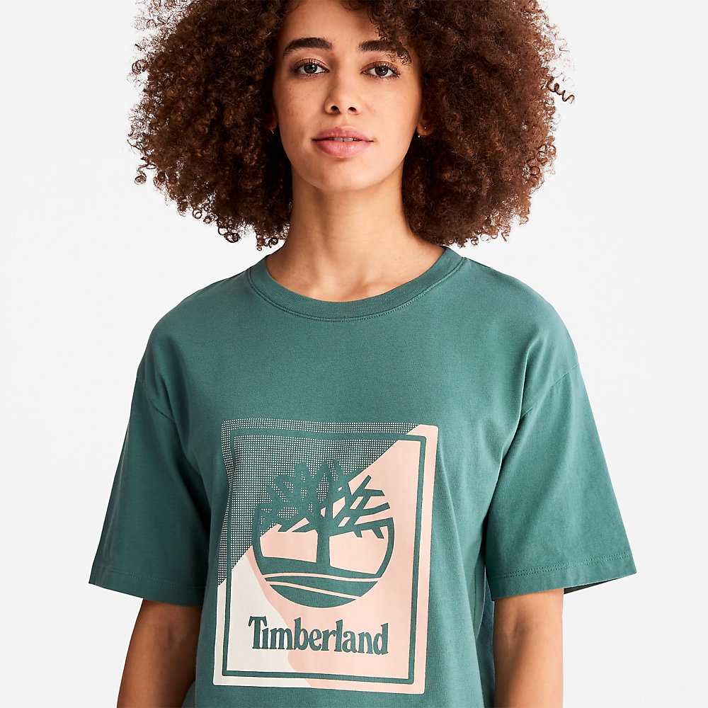 Turquoise Women's Timberland Logo T Shirts | Israel-4896705