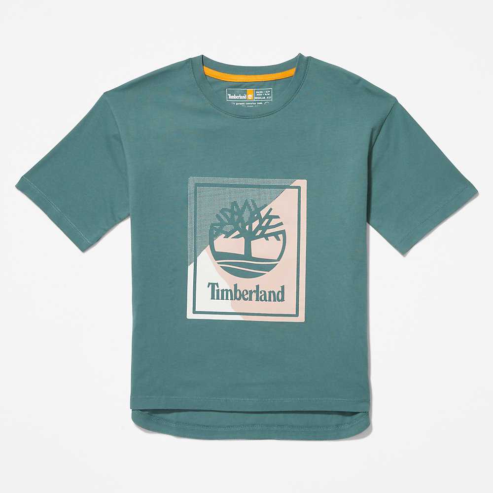 Turquoise Women's Timberland Logo T Shirts | Israel-4896705