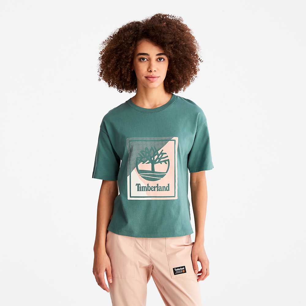 Turquoise Women\'s Timberland Logo T Shirts | Israel-4896705