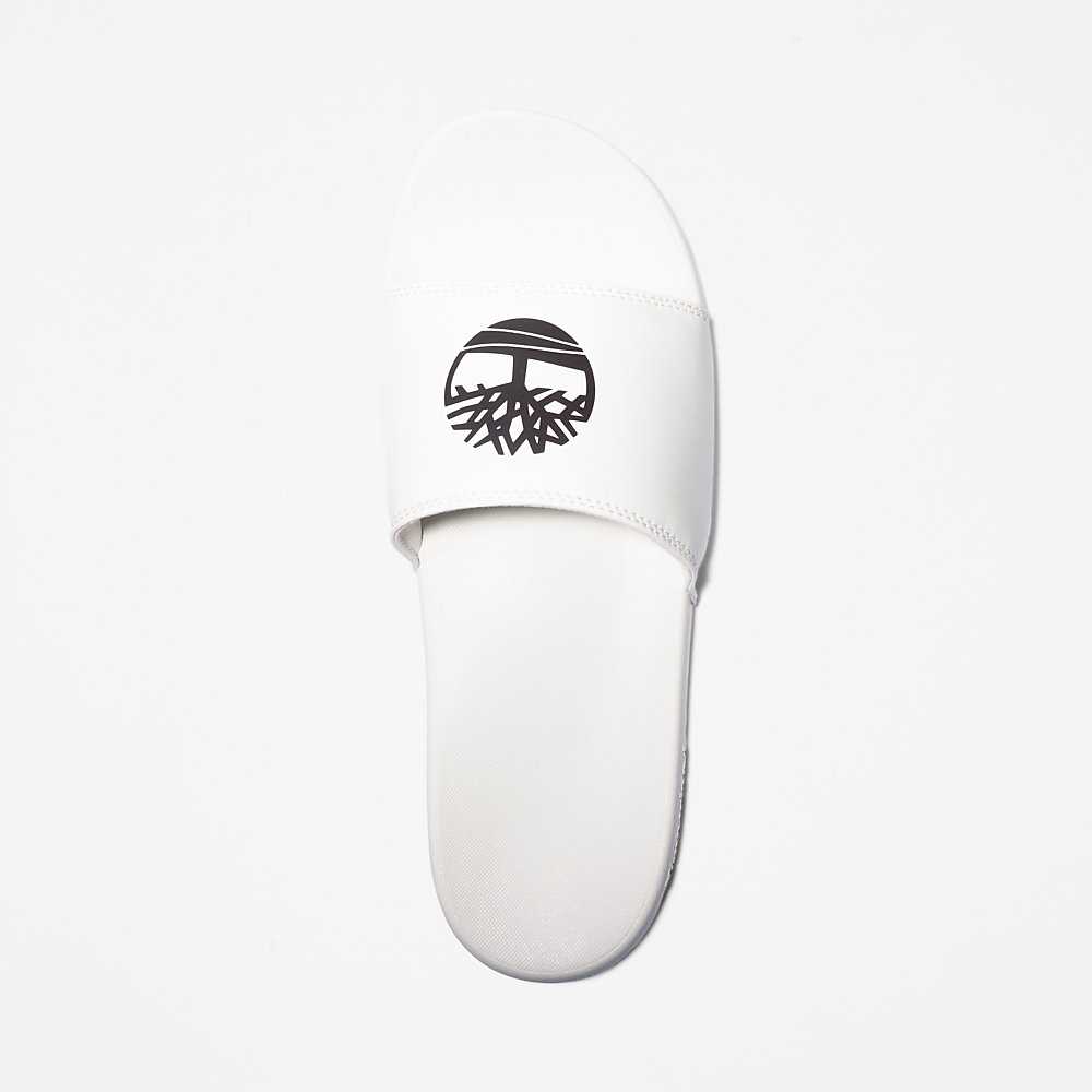 White Men's Timberland Playa Slides | Israel-7945680