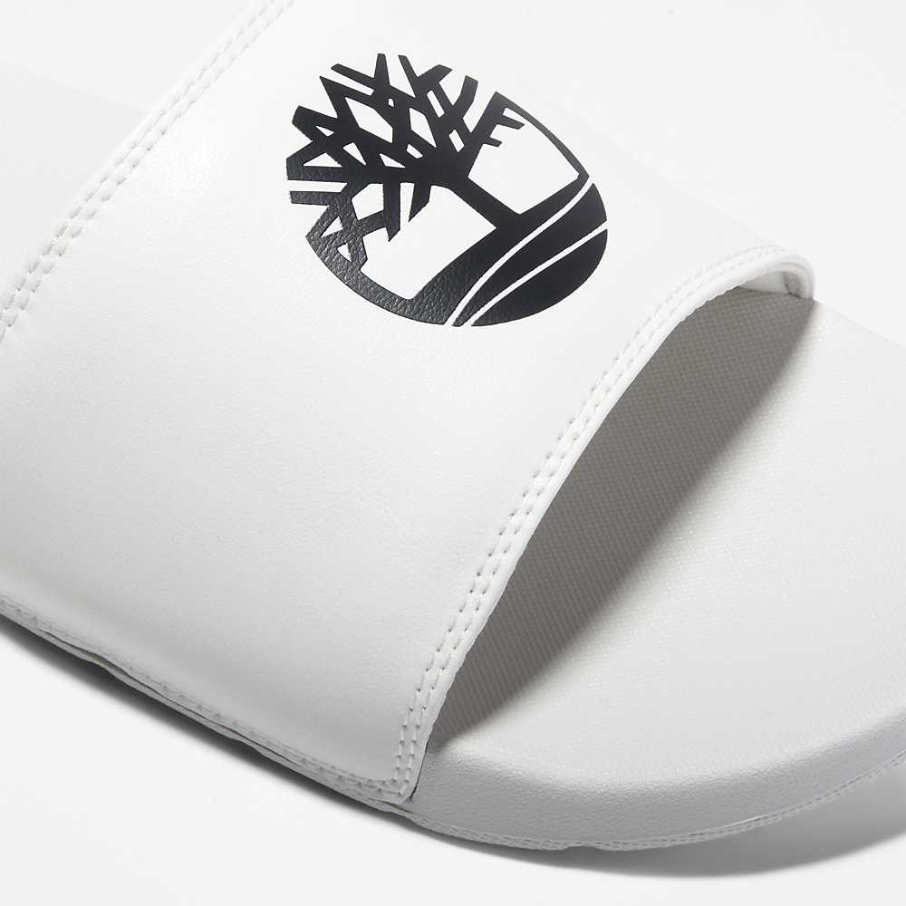 White Men's Timberland Playa Slides | Israel-7945680