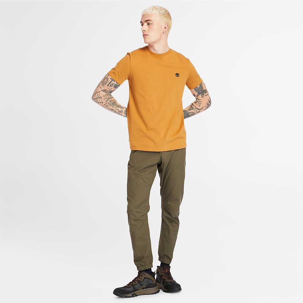 Yellow Men's Timberland Dunstan River T Shirts | Israel-1850976