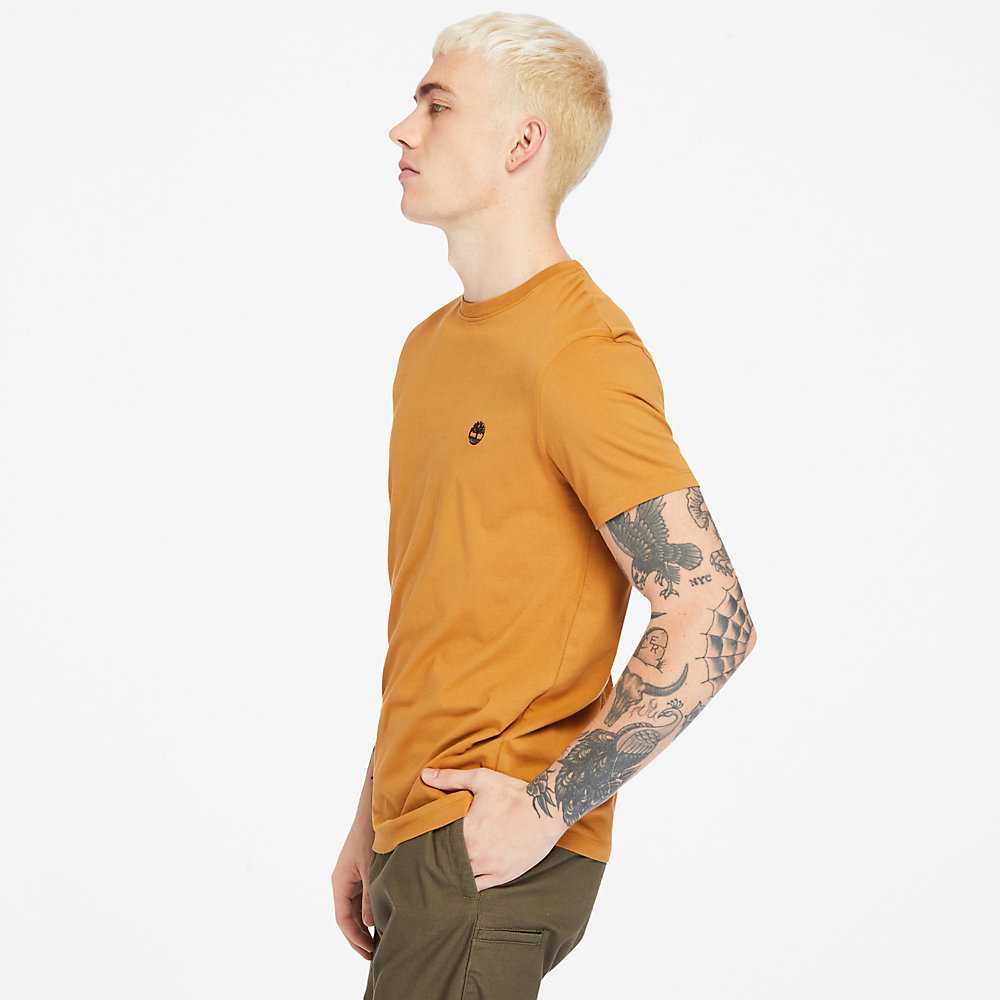 Yellow Men's Timberland Dunstan River T Shirts | Israel-1850976