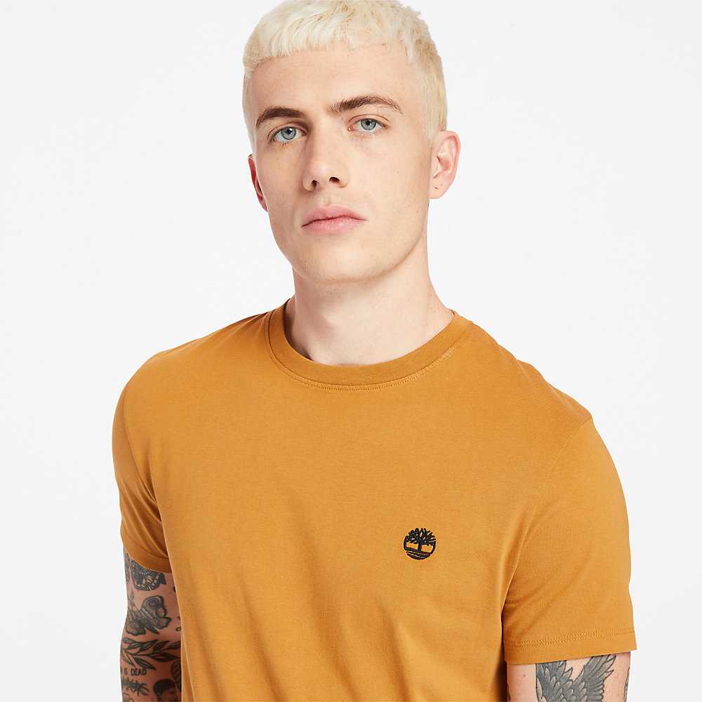 Yellow Men's Timberland Dunstan River T Shirts | Israel-1850976