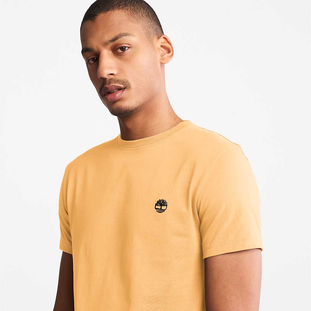 Yellow Men's Timberland Dunstan River T Shirts | Israel-3896045