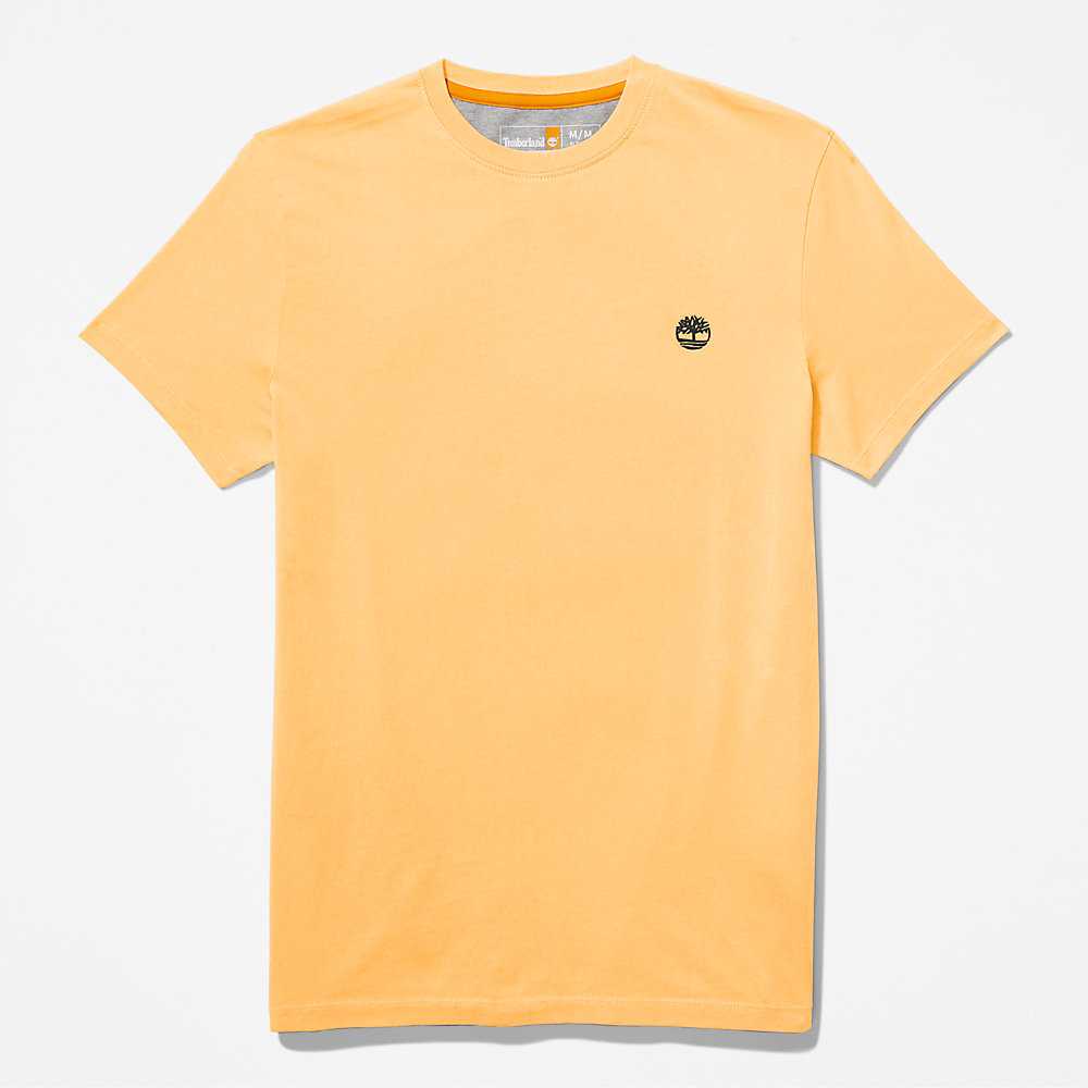 Yellow Men's Timberland Dunstan River T Shirts | Israel-3896045