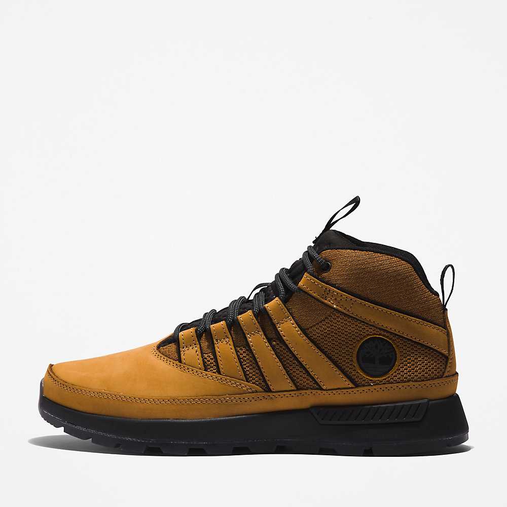 Yellow Men's Timberland Euro Trekker Hiking Boots | Israel-4392806