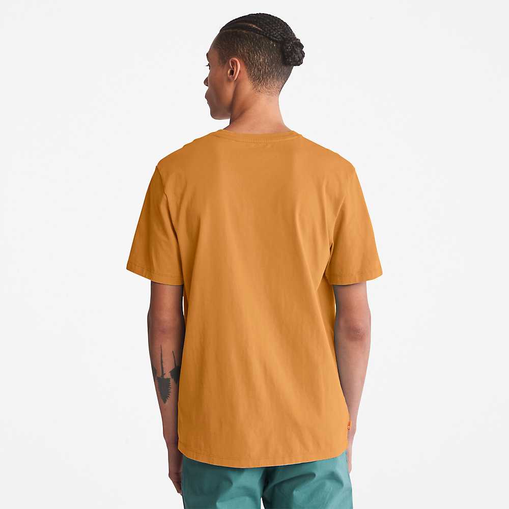 Yellow Men's Timberland Kennebec River T Shirts | Israel-9415237