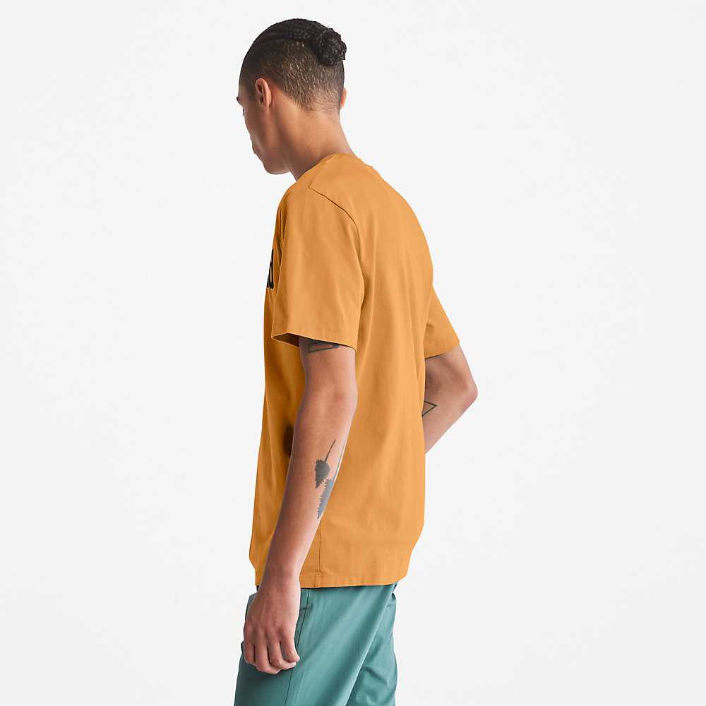 Yellow Men's Timberland Kennebec River T Shirts | Israel-9415237