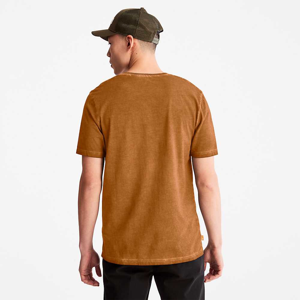 Yellow Men's Timberland Lamprey River T Shirts | Israel-0912876