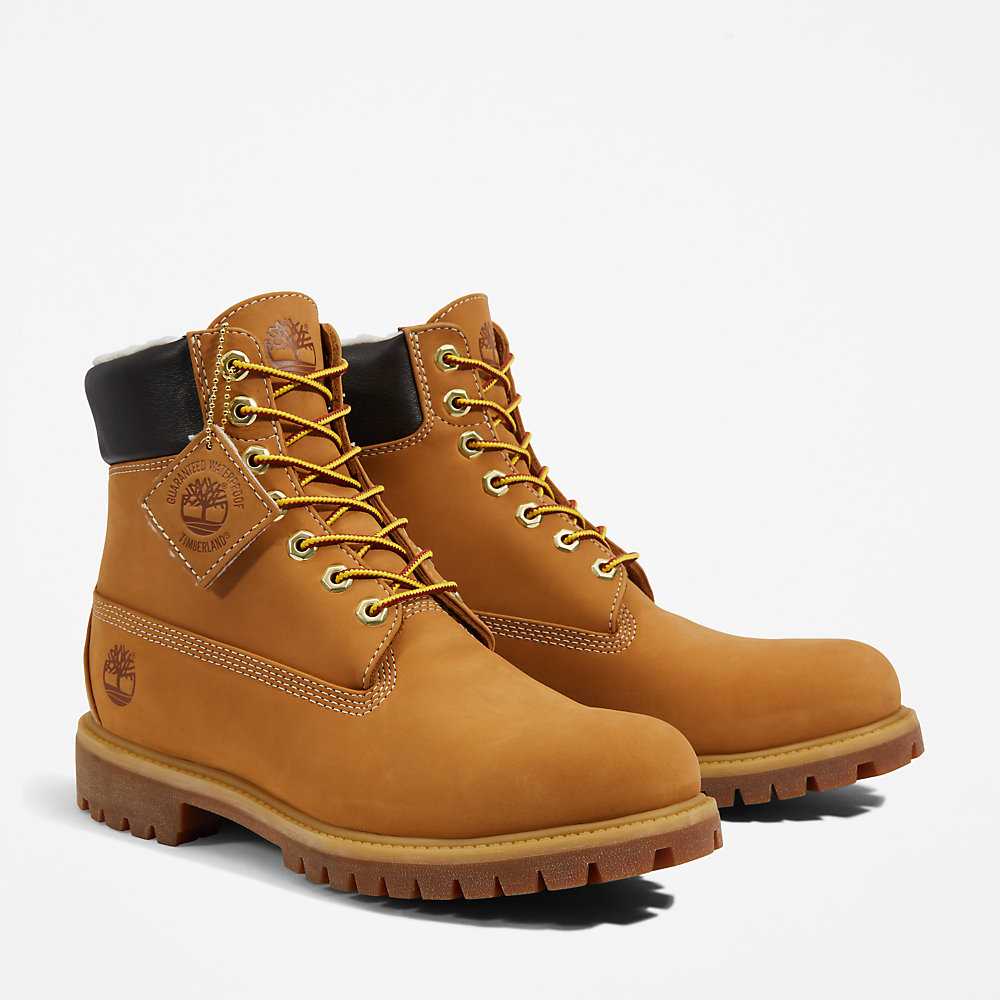 Yellow Men's Timberland Premium® 6 Inch Winter Boots | Israel-9574683