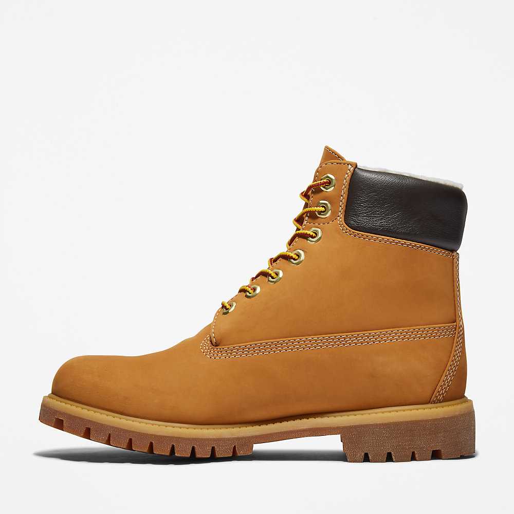 Yellow Men's Timberland Premium® 6 Inch Winter Boots | Israel-9574683