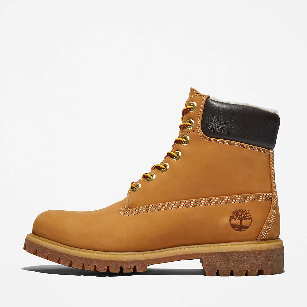 Yellow Men's Timberland Premium® 6 Inch Winter Boots | Israel-9574683