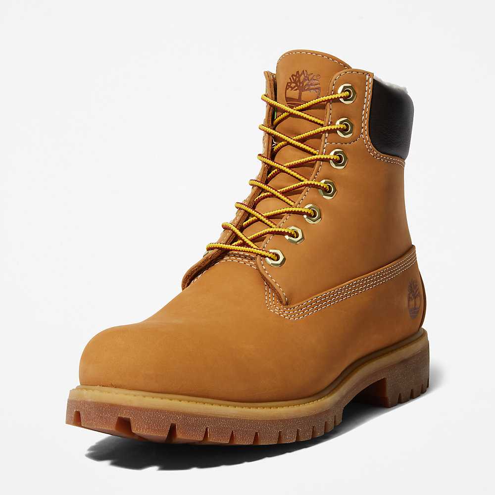 Yellow Men's Timberland Premium® 6 Inch Winter Boots | Israel-9574683