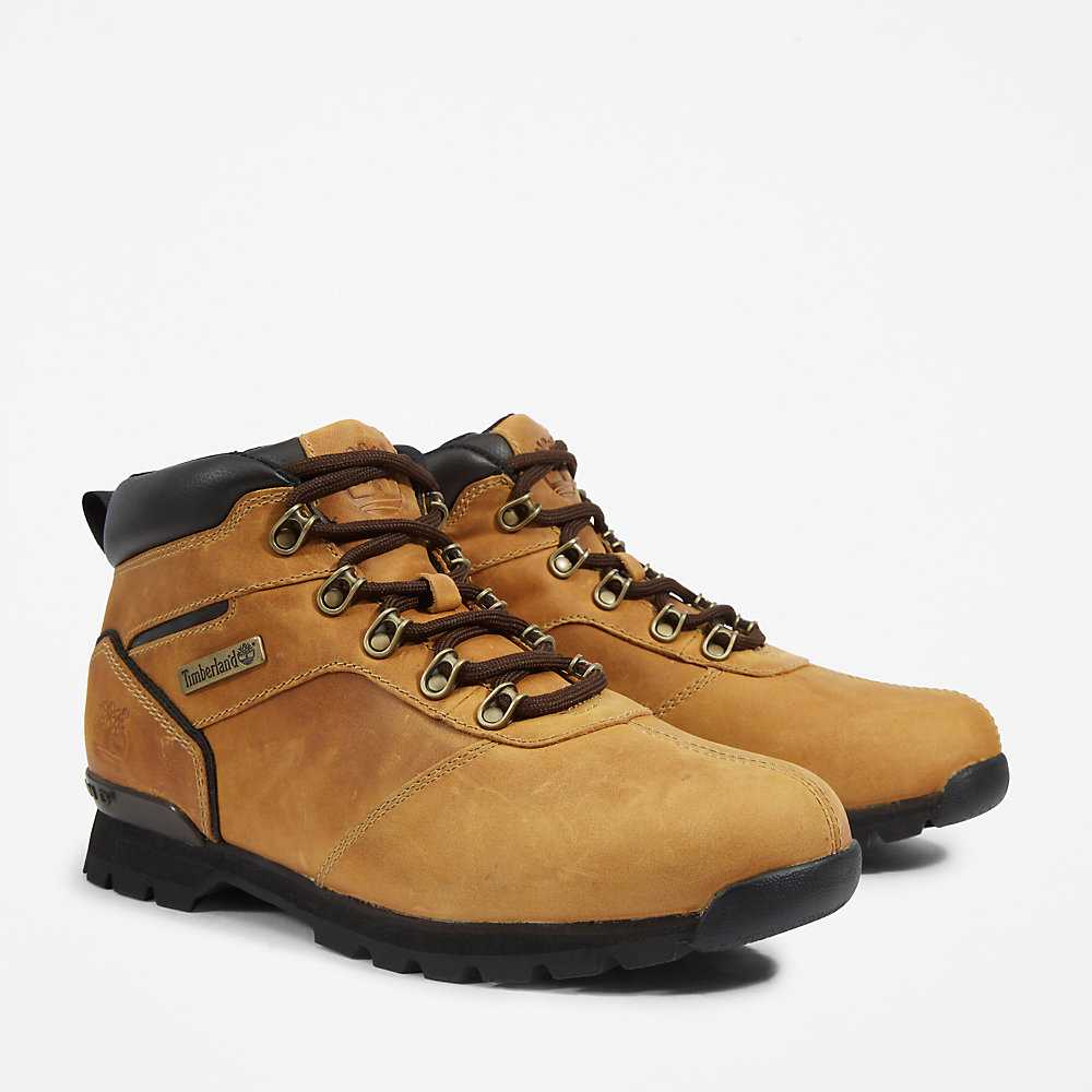 Yellow Men's Timberland Splitrock Hiking Boots | Israel-3587046