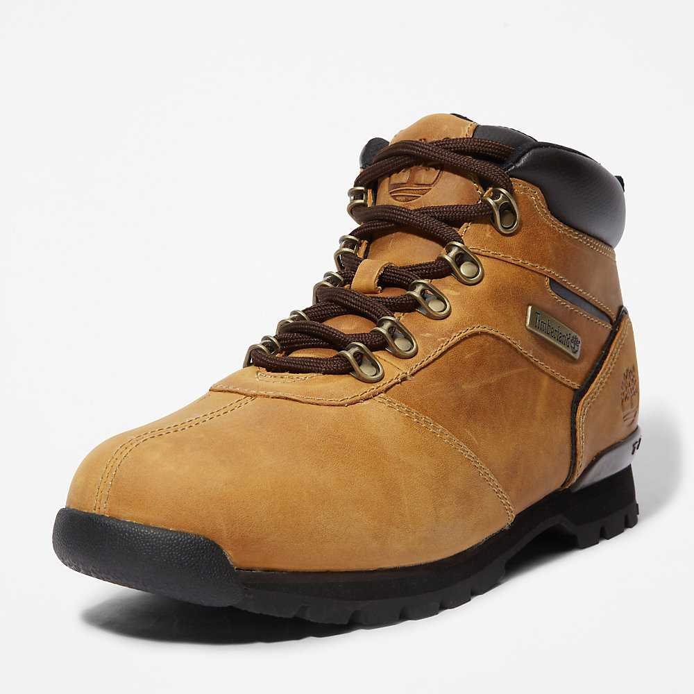 Yellow Men's Timberland Splitrock Hiking Boots | Israel-3587046