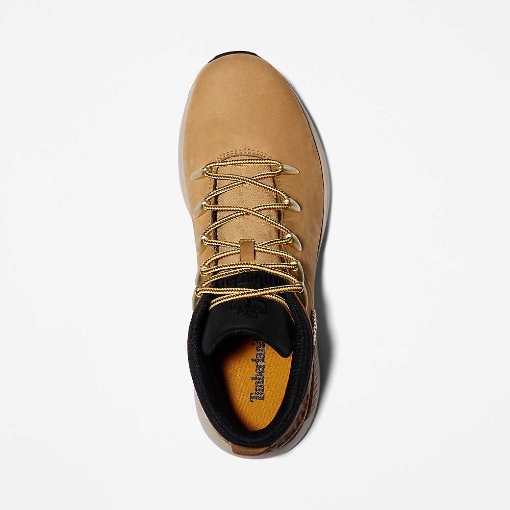 Yellow Men's Timberland Sprint Trekker Chukka Boots | Israel-1784263