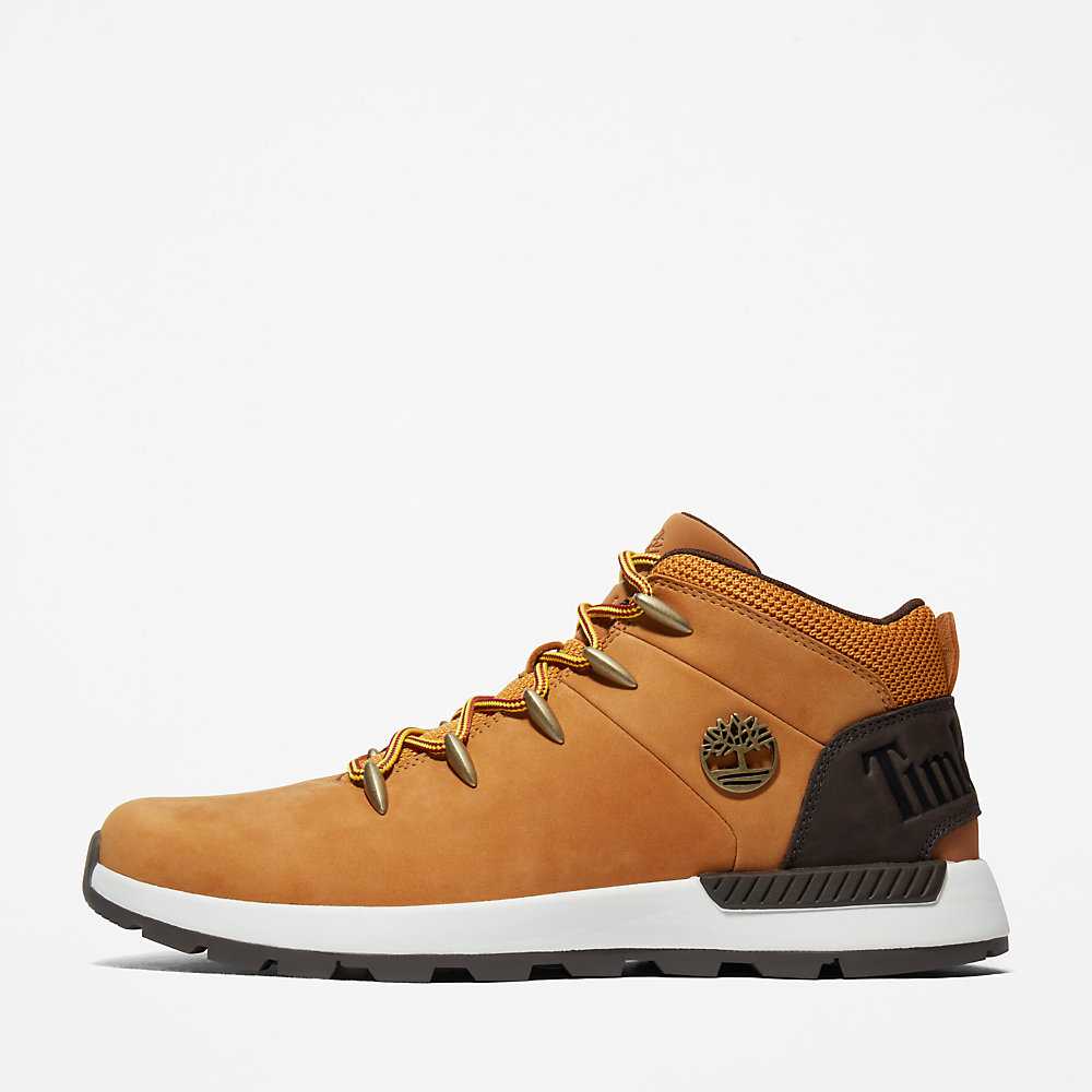 Yellow Men's Timberland Sprint Trekker Hiking Boots | Israel-9073842