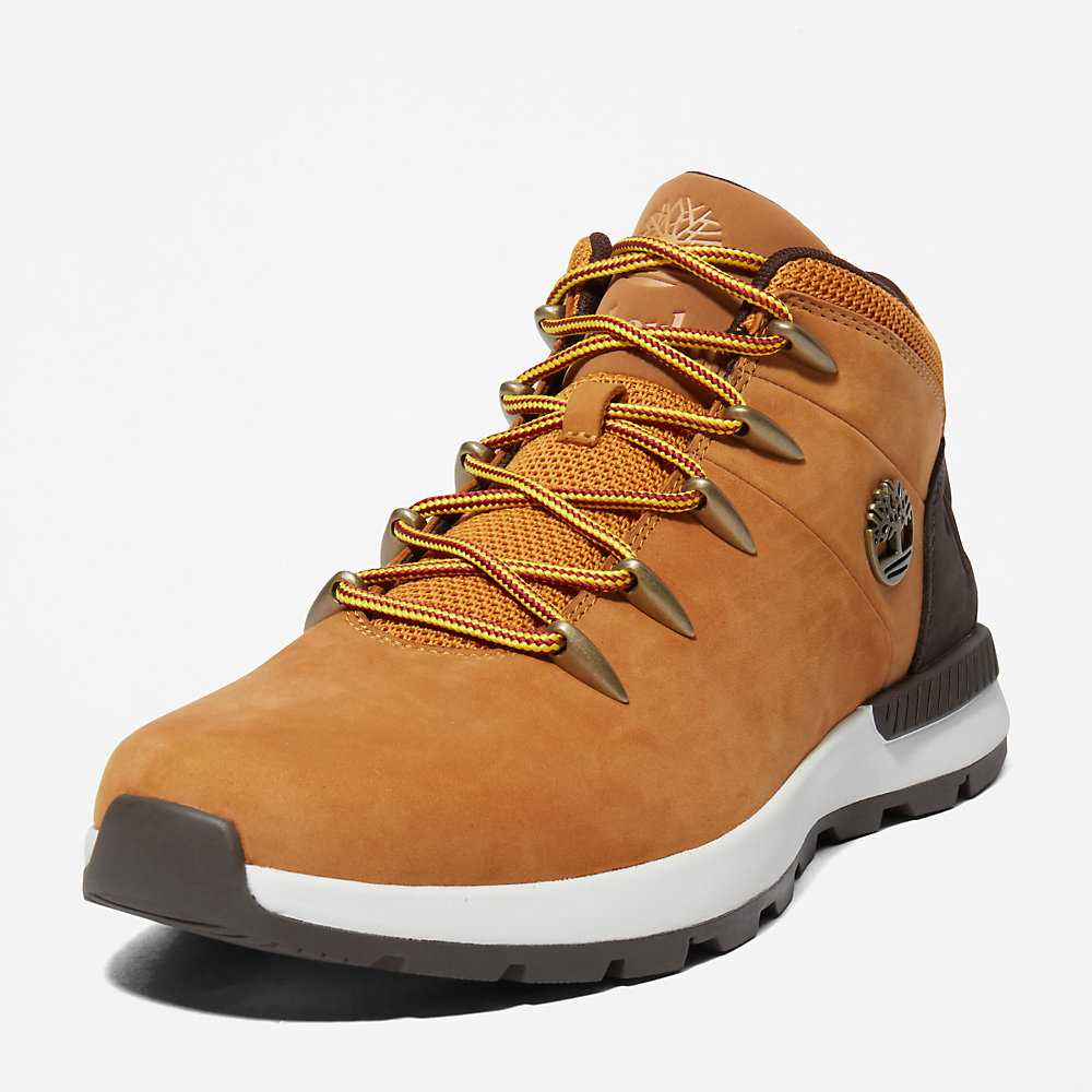 Yellow Men's Timberland Sprint Trekker Hiking Boots | Israel-9073842