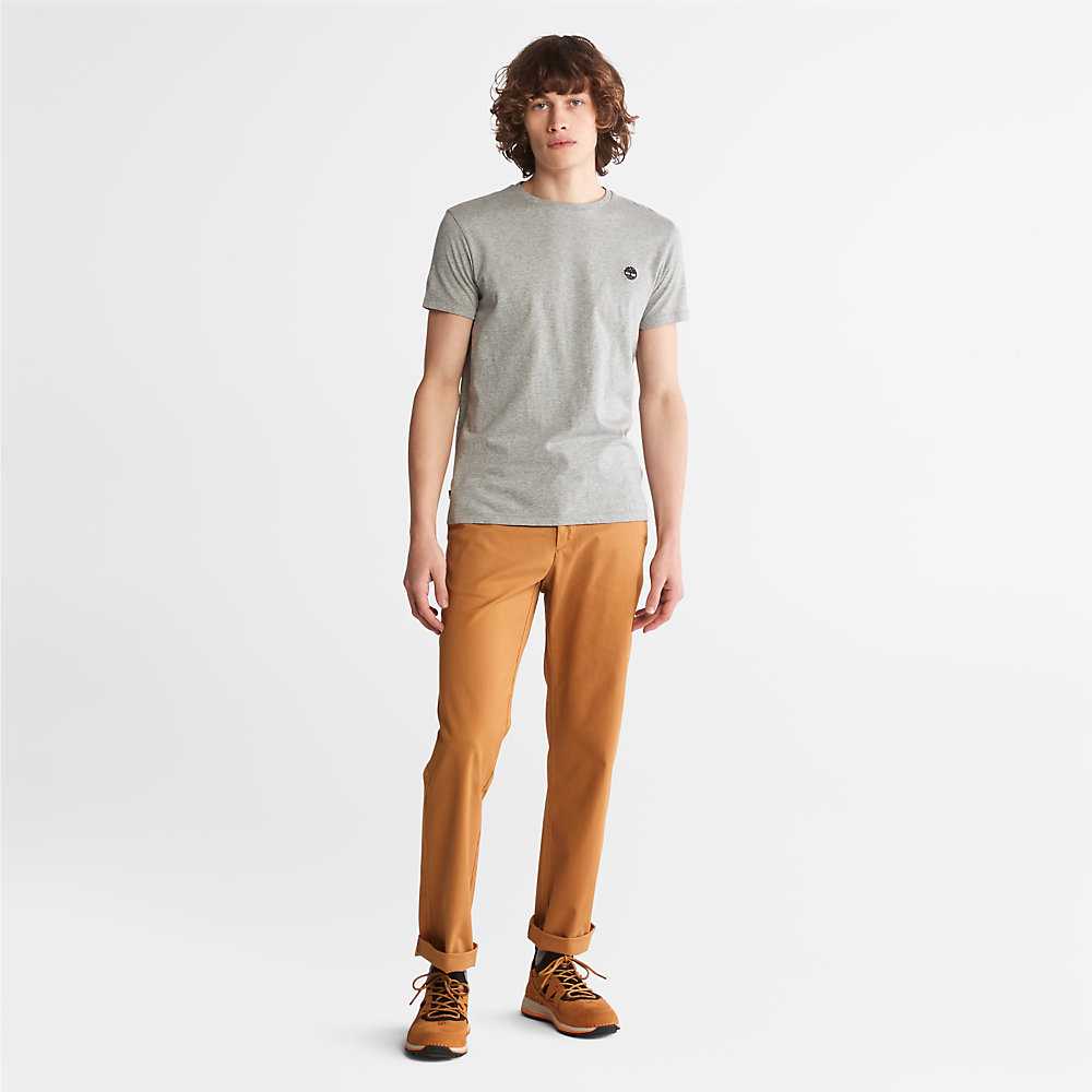 Yellow Men's Timberland Squam Lake Pants | Israel-7896153