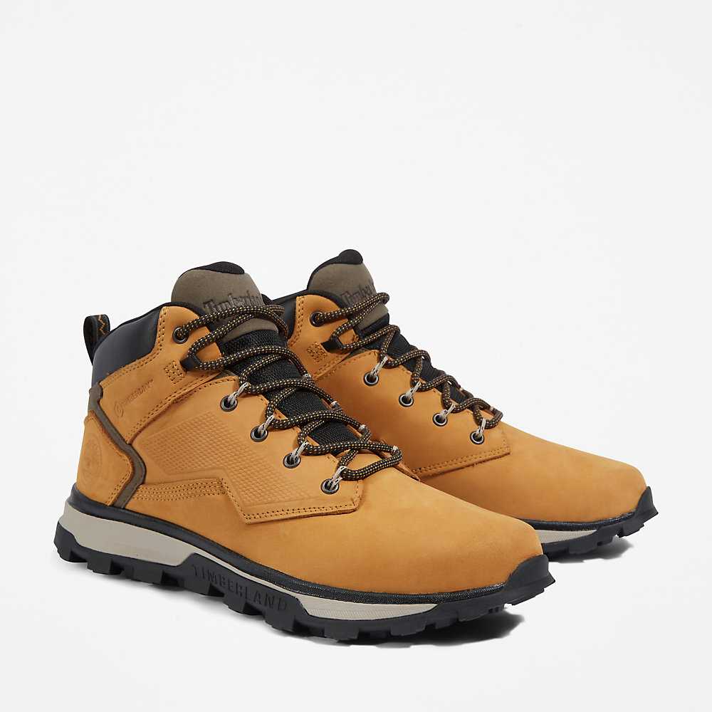 Yellow Men's Timberland Treeline Hiking Boots | Israel-0986172