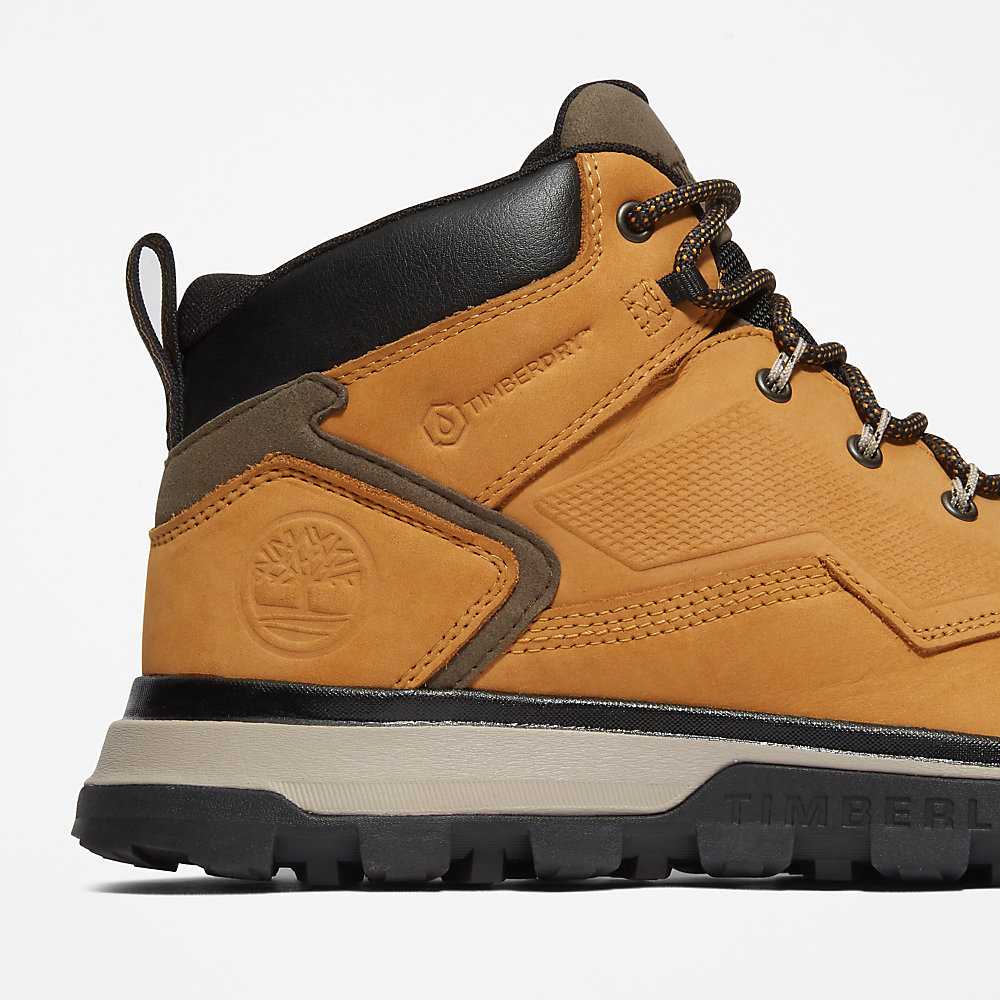 Yellow Men's Timberland Treeline Hiking Boots | Israel-0986172