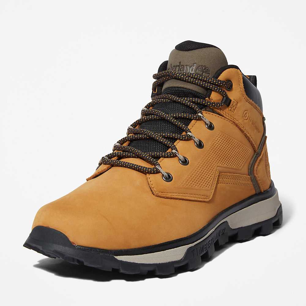 Yellow Men's Timberland Treeline Hiking Boots | Israel-0986172