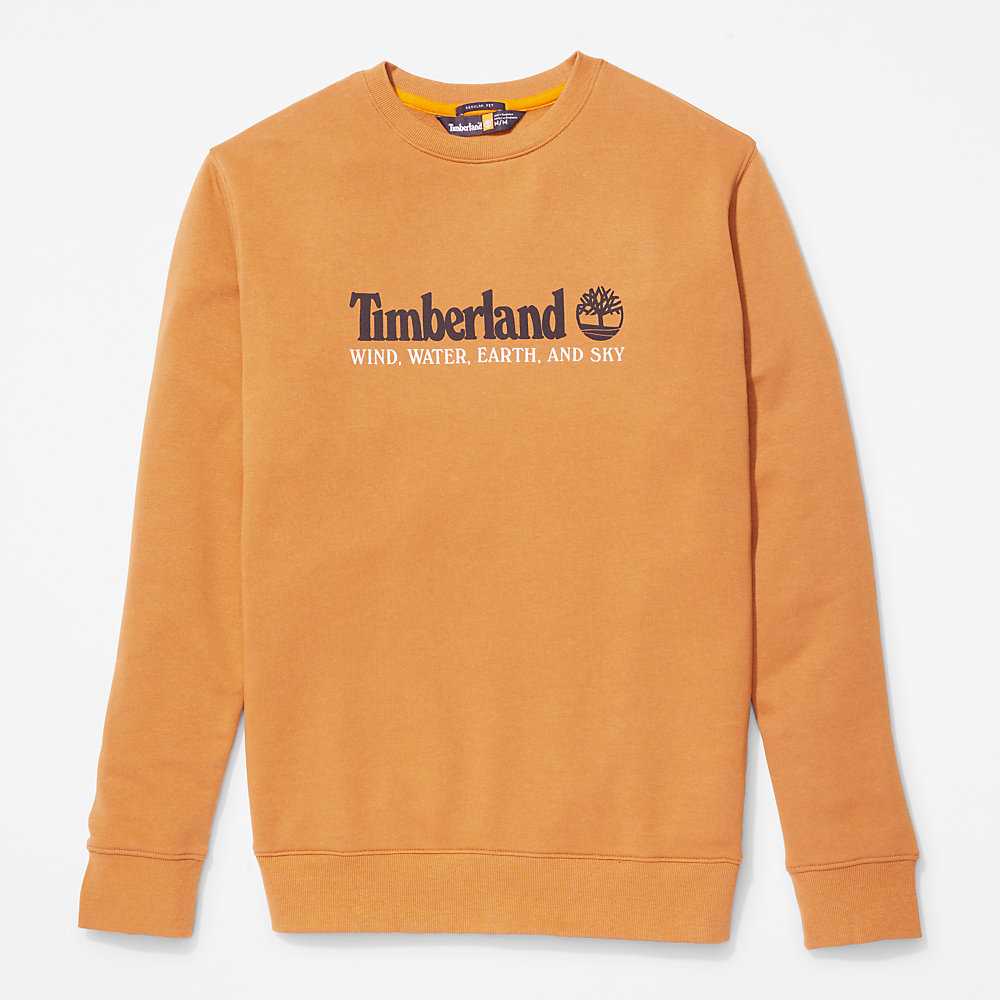 Yellow Men's Timberland Wind Water Earth And Sky Sweatshirt | Israel-8961352