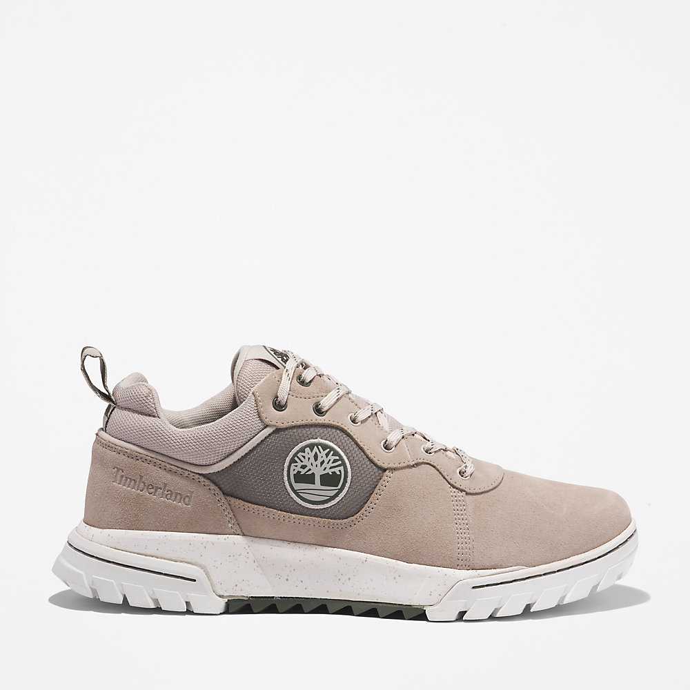 Beige Men's Timberland Boulder Trail Sneakers | Israel-7068253